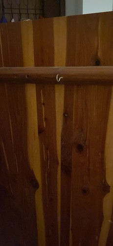 Cedar wood hinged - cedar,