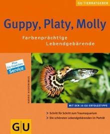 Guppy platy molly - guppy,,
