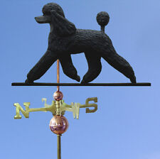 Caniche Main Sculpté Main