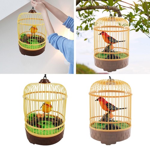 Oiseau chantant chipant - oiseau, et