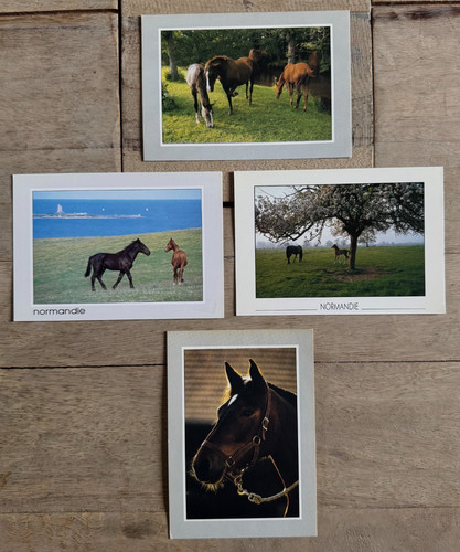 Cartes postales chevaux - postales,