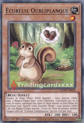 écureuil - yu-gi-oh!,