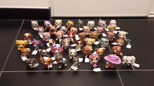 Petshop lps hasbro chat angora - lps,