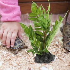  Amphibiens Plantes Reptile Terrarium Decor Tank Accessoires Reptiles Plantes