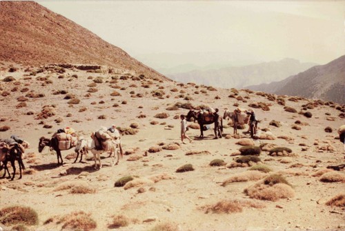 Ancienne photographie haut - ancienne,