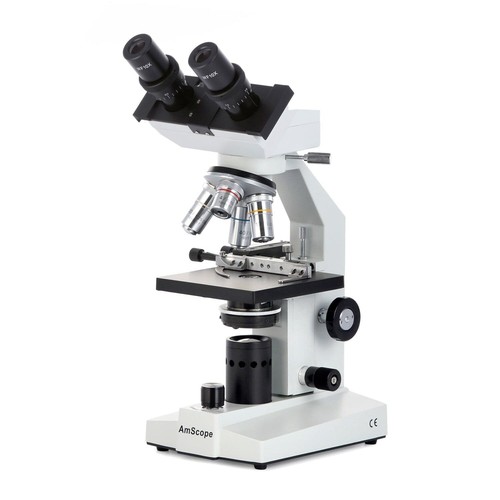 Microscope binoculaire - microscope,