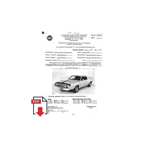 1973 amc javelin - form, of