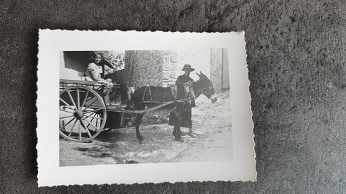 Photo argentique ancienne - photo,