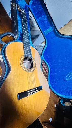 étui rigide pour guitare - Étui,