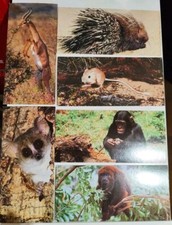 Lot 18 Cartes MERVEILLES DU MONDE Nestlé  Image Chocolat Vintage