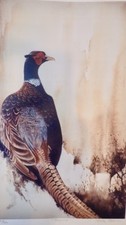 Shirley A Stockman limited