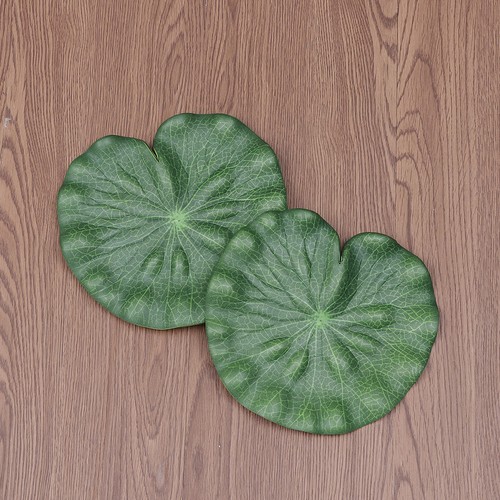 Pcs plante flottante pour - pcs,