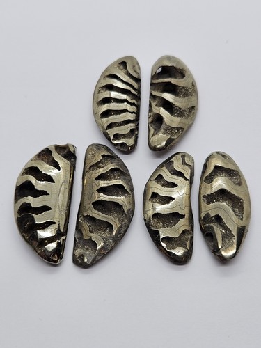 Pyritized ammonite fossil - ammonite,