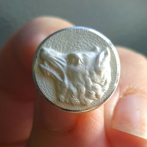 E05k06 tete loup - de, blanc