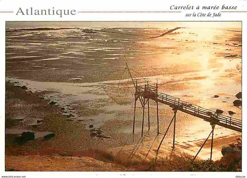Carte postale pornic - carte,