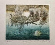 Daniel Zagórski, Akwafor