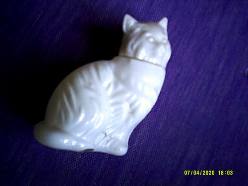 Chaton blanc verre - chaton,