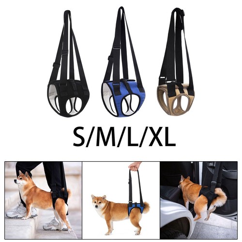 Harnais levage pour - de, chien