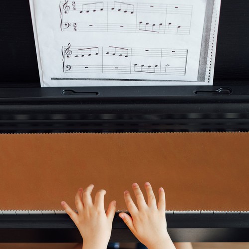 Housse pour clavier piano - housse, de