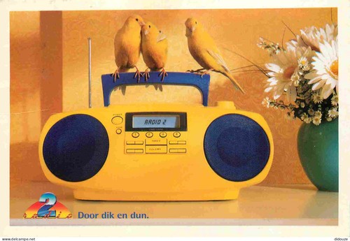 Carte postale animaux - carte,
