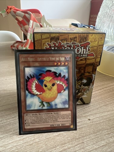 Carte rare aile - -,