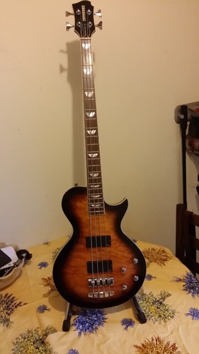 Guitare basse fernandes - guitare,