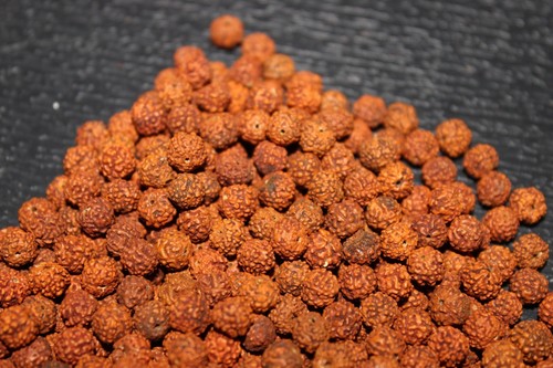 Perles rudraksha loose - perles, 7