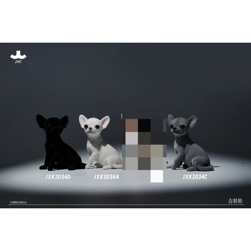 3pcs jxk teacup dog chihuahua - jxk,
