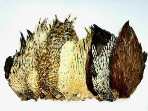 Plumes cou coq pour - de,