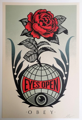 Shepard fairey eyes open - eyes,