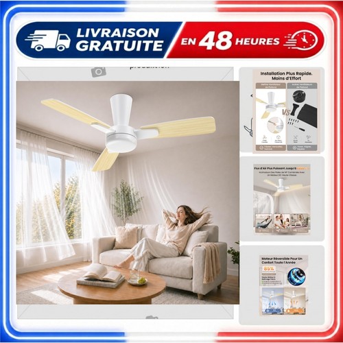 Ventilateur plafond mefine - ventilateur,