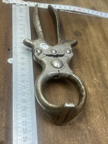 Pince castrer outil - pince, À