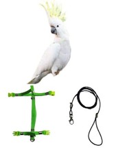 Bavoir Perroquets Taille