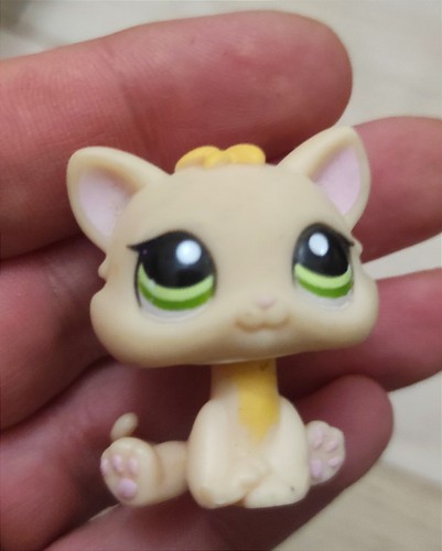 Chat 1128 assis jaune - assis,