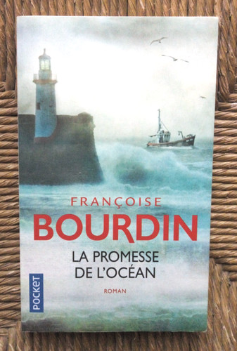 Livre roman promesse de - roman, la