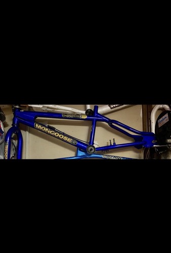 vtt mongoose