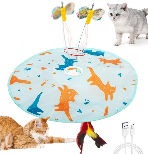 Jouet interactif pour - 2-en-1,