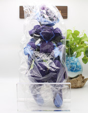 Sanei Buchi Pokemon All Star