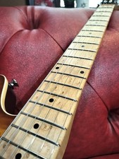 EVH Wolfgang Special 2010 Made