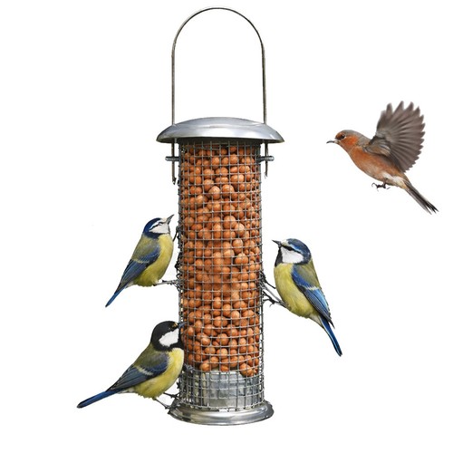 Suspendu oiseau nut - suspendu,