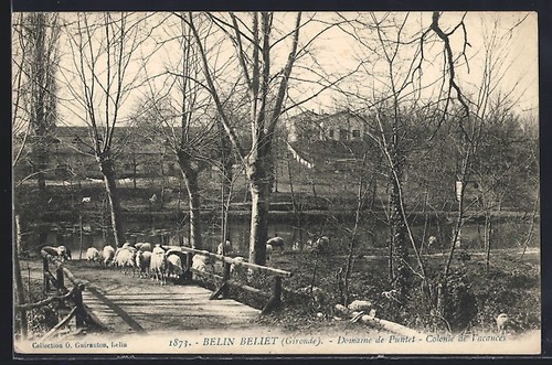 Cpa belin béliet - domaine, de