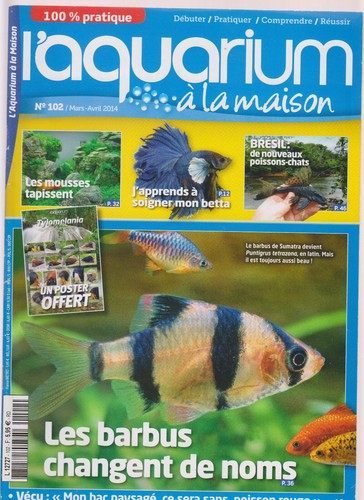 Aqua maison n 102 - n°102, bac