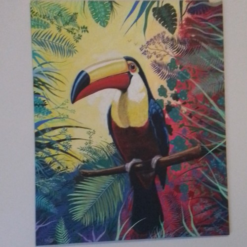 Impression murale toucan - impression,