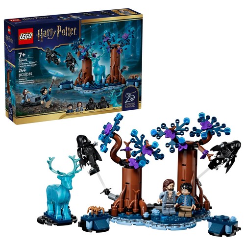Lego 76475 harry potter - harry,