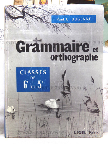 Grammaire orthographe - grammaire, &