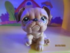 Petshop Chien Bouledogue #1342