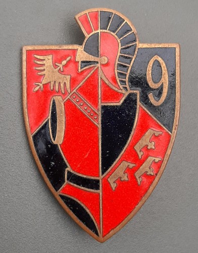 Insigne badge rg régiment - insigne, 9°