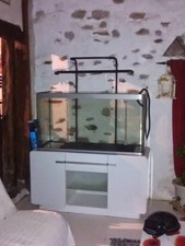 Aquarium Osaka. 320l