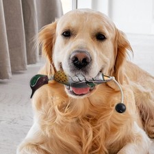 Chien mâchage jouet forme de