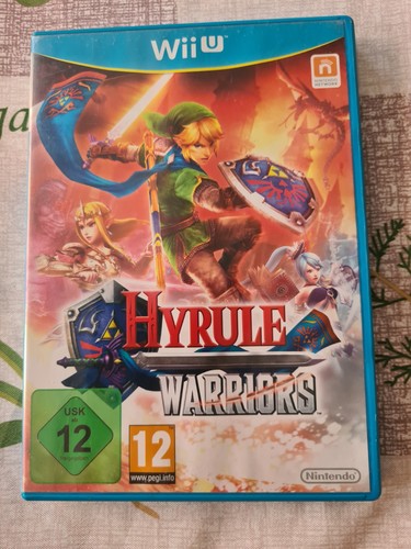 Hyrule warriors wii - hyrule,